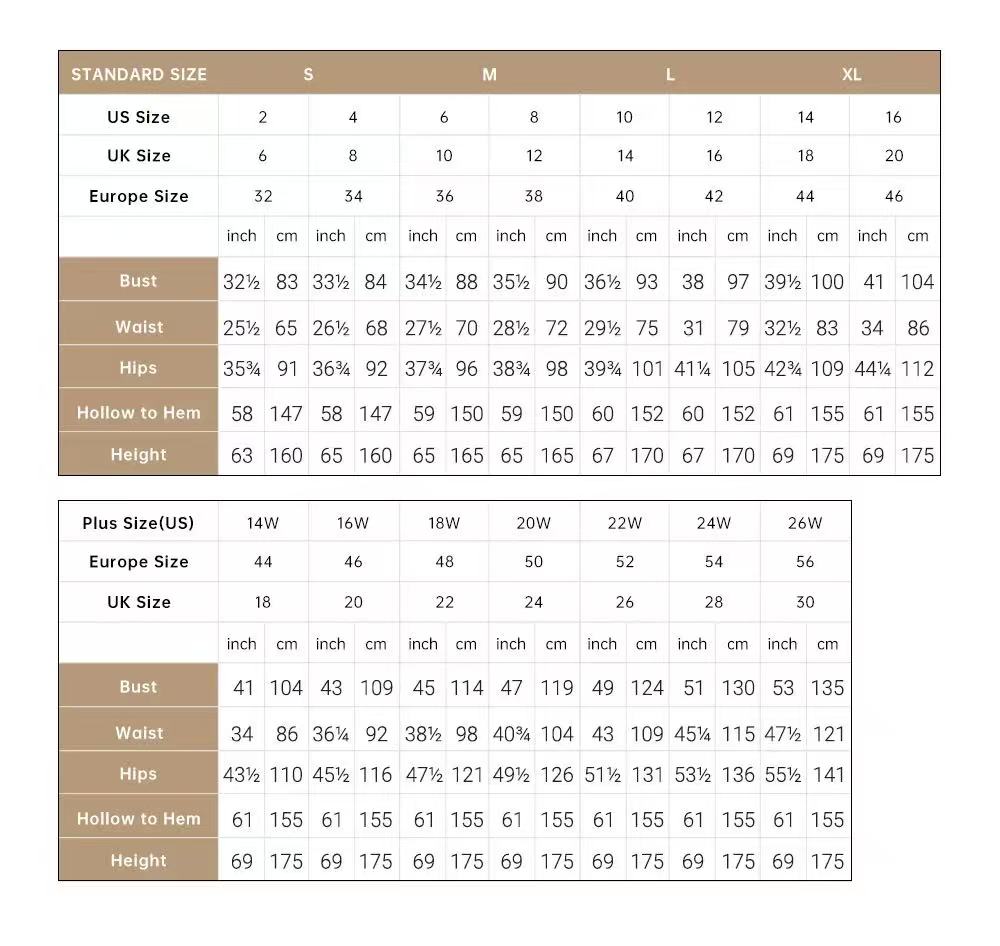 Fancy Bowknot-galajurk Straple - Women Formal Wear Dubai recensie en prijs
