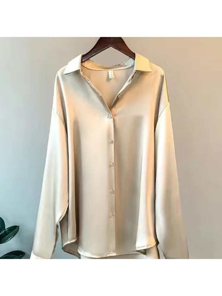 Plus Size Casual Vrouwen Zijde - Women Formal Wear Tops recensie en prijs