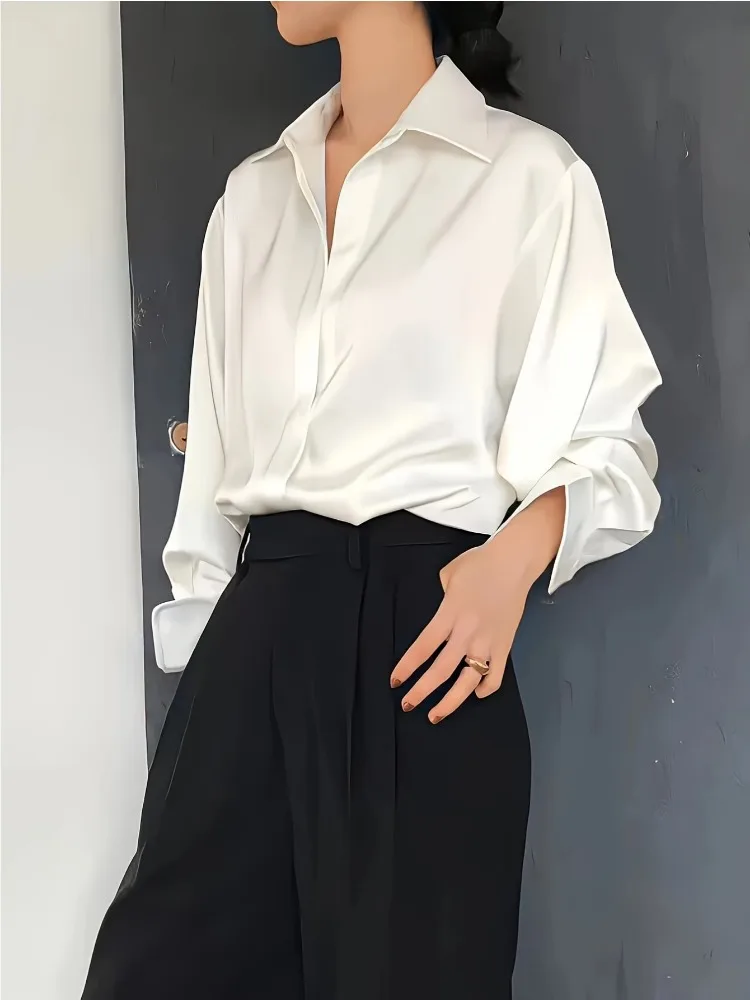 Plus Size Casual Vrouwen Zijde - Women Formal Wear Tops recensie en prijs