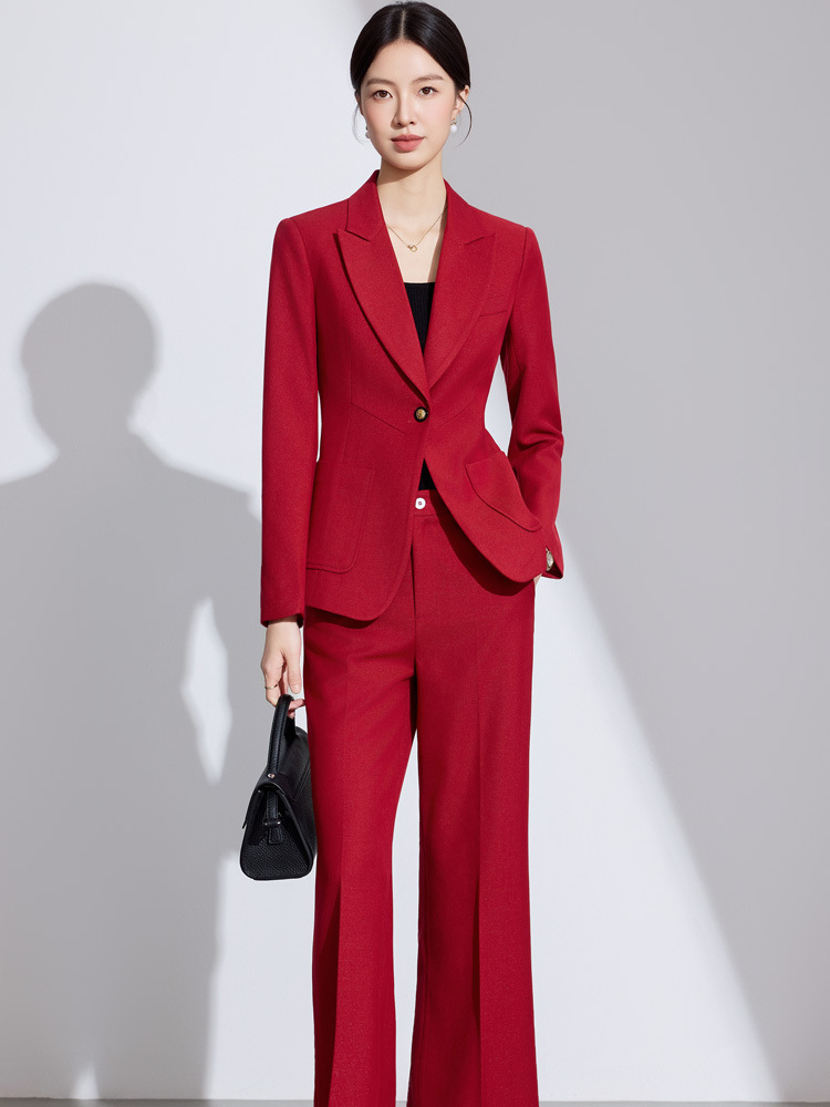 Formele elegante stijlen broek - Women'S Formal Wear Pantsuits recensie en prijs
